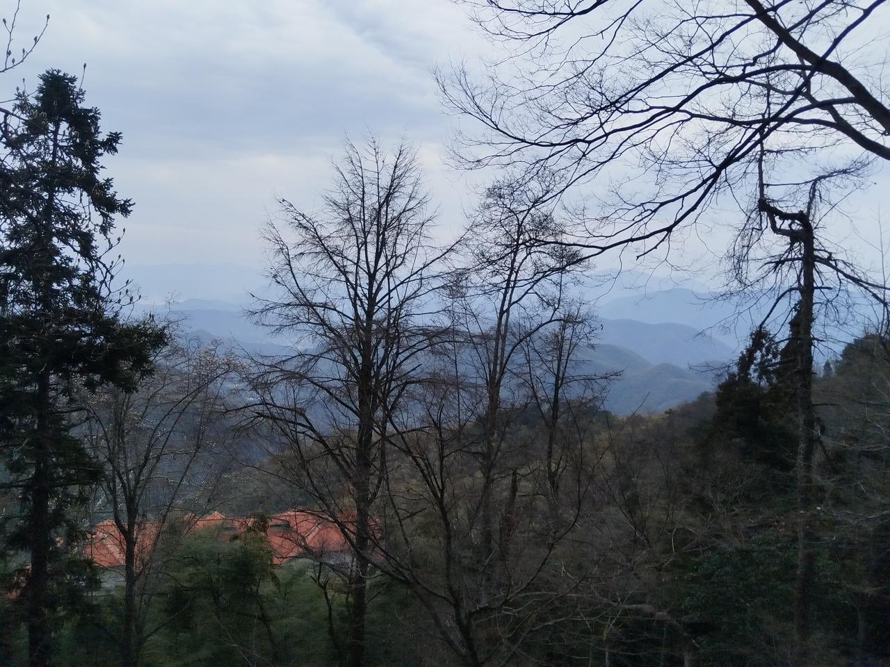 莫干山的美，在于云雾缭绕；在于气温适宜。清晨，当第一缕阳光穿透层层云雾，莫干山宛