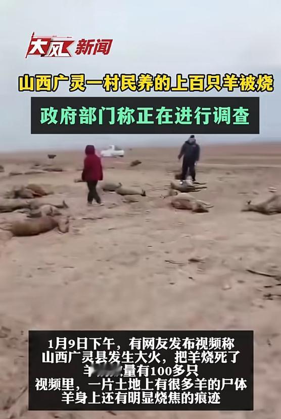 “悲剧还是发生了！”1月9日，山西大同，一残疾男子放羊时，地里突然着火了，当时风