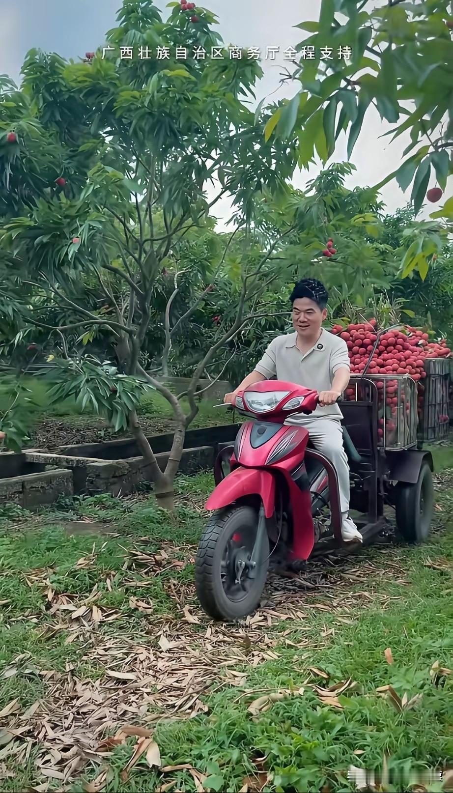 董宇辉去趟东南亚，都快把粉丝给吓坏了。前一秒还在跟大使谈笑风生，后一秒就窜上