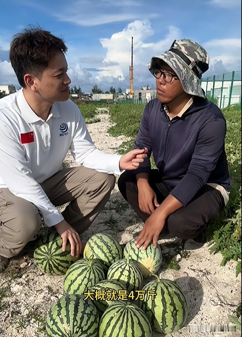 3.16平方公里西沙永兴岛西瓜产量超40000斤，到底是如何实现的？南海，永