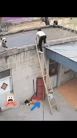 看孩子可能得操心，很多意外往往就发生在短短一瞬间，小孩子好奇心重，行动又活泼好动