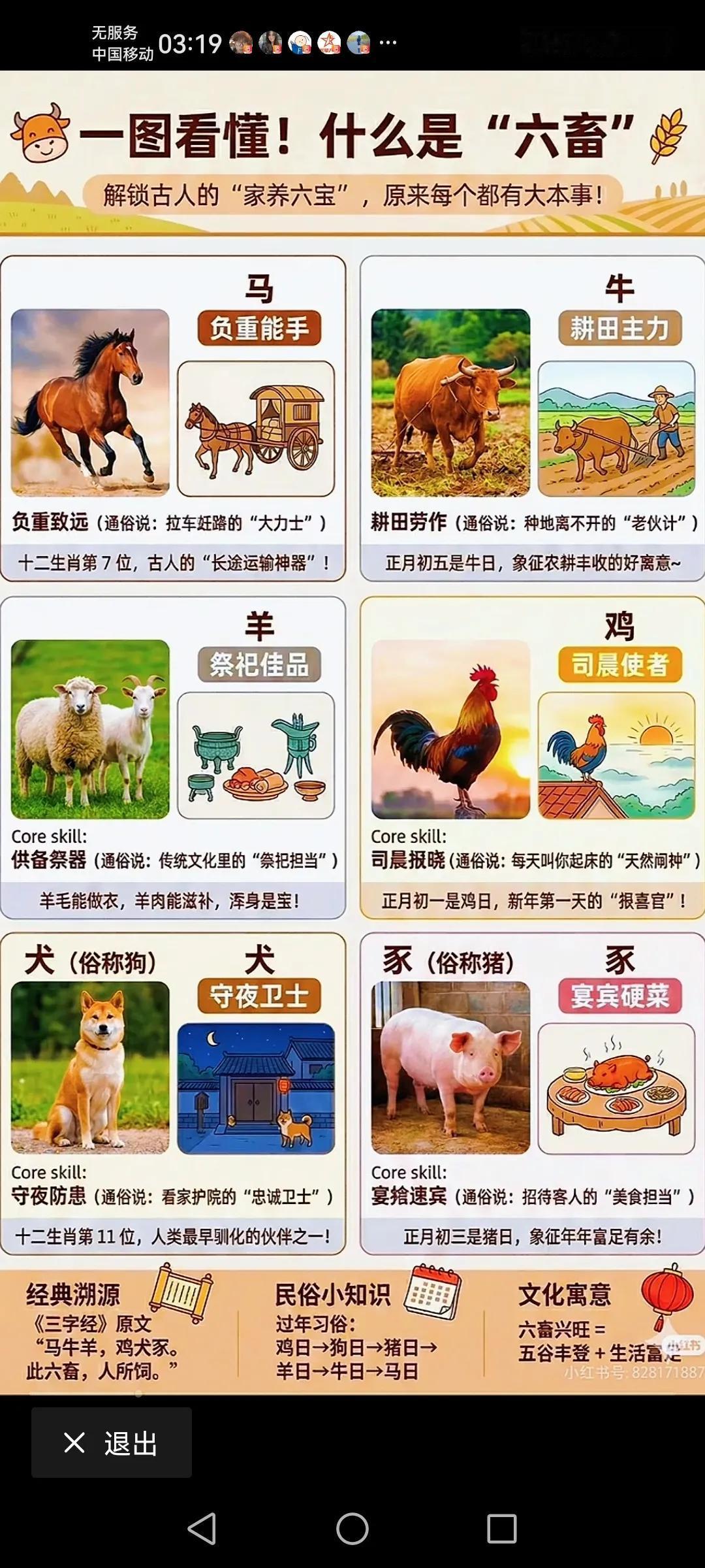 原来我们常说的六蓄指的是这几种马牛羊鸡狗