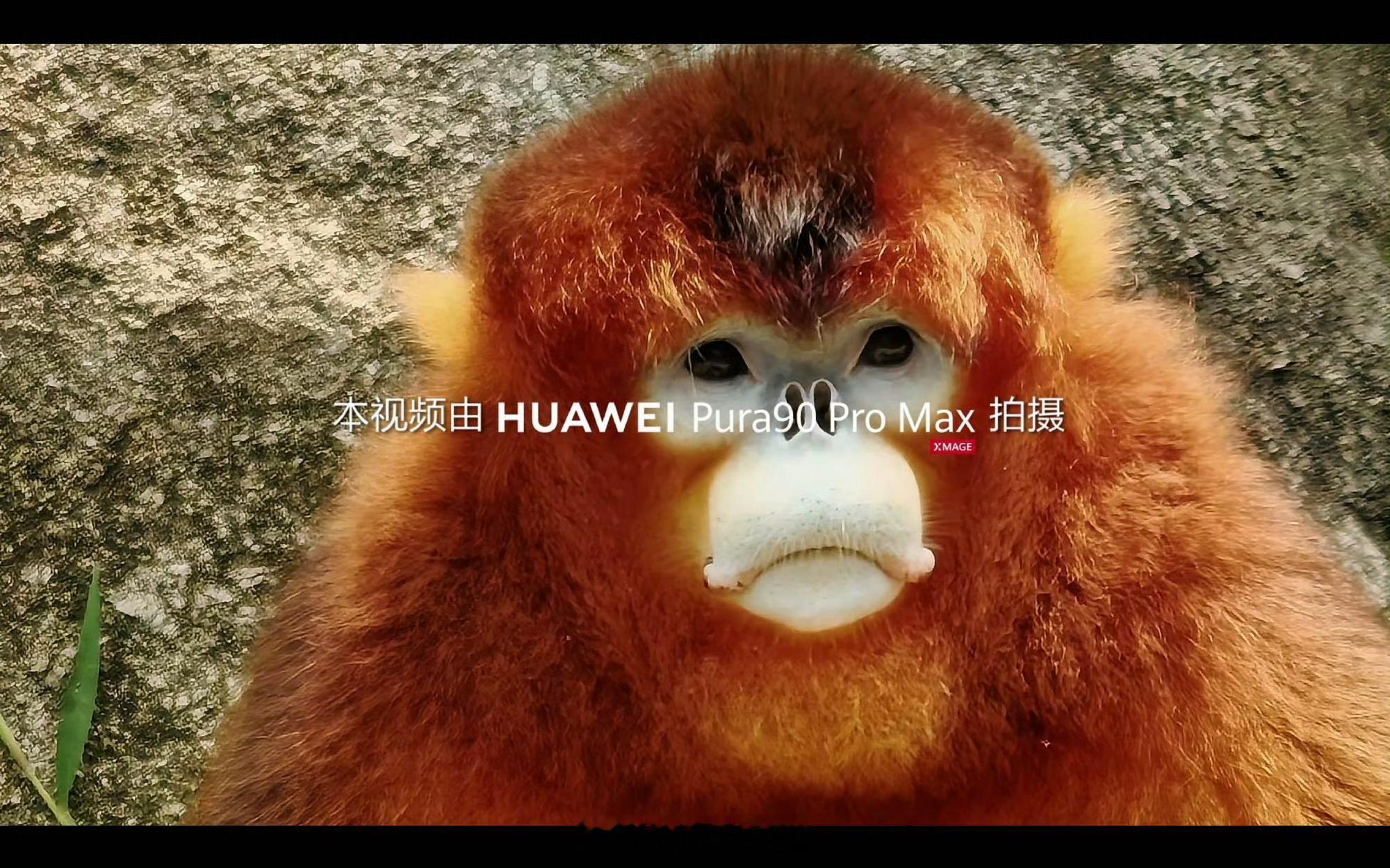 超大底两亿长焦好厉害，距离远也能拍得很清晰期待了华为Pura90发布全新智拍技