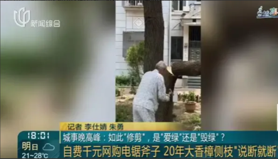 5月27日，上海一小区发生令人痛心事件。20多位老人自掏腰包买电锯和斧头，砍了小