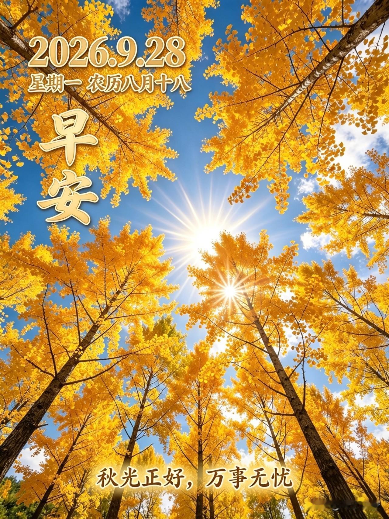 🍂²⁰²⁶/₀₉.₂₈ᵕ̈周一早安｜浅秋晨光☀️秋晨的风，轻轻拂过窗沿，