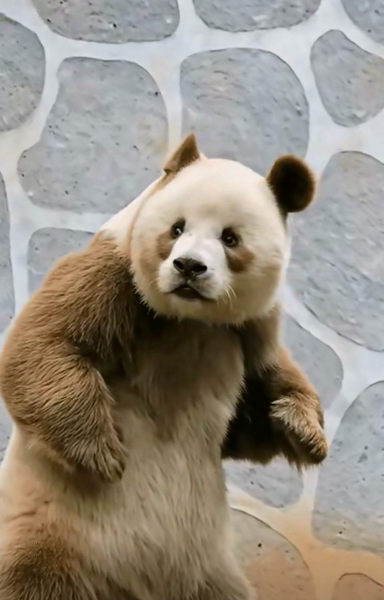 你们一天工资都没250？那还混个屁，比我带你们做一年基金都不如。过了年跑路换工作