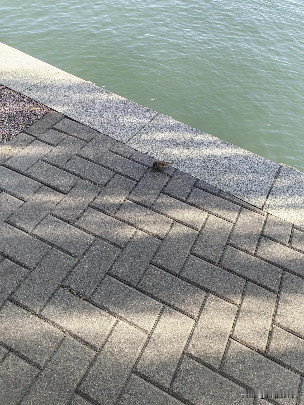 云南。个人感觉云南的大理更适合居住。