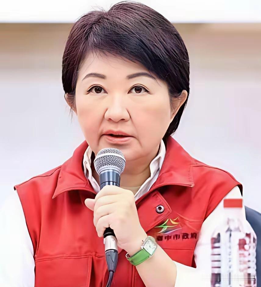 卢秀燕打破沉默！曾经凭着“清新形象”圈粉无数、众望所归的卢秀燕，会在国民党主席