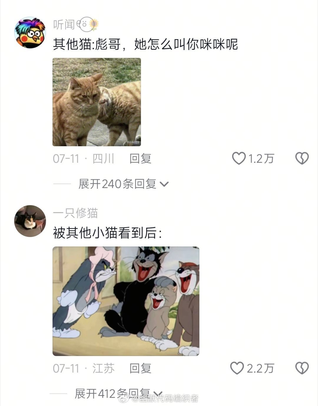 刚摸完猫老大就被其他小猫发现了（