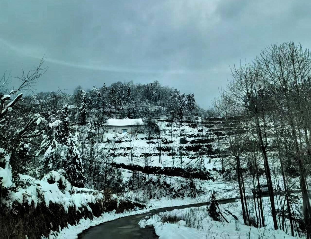 今天爸爸说美国总统把马杜罗给抓了，我说抓了就抓了呗，你操心的嘞！爸爸说：“