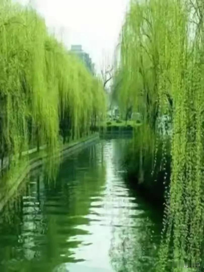 上联:秋谢花词冬续墨下联:春吟柳赋夏抚琴横批:雅韵流年