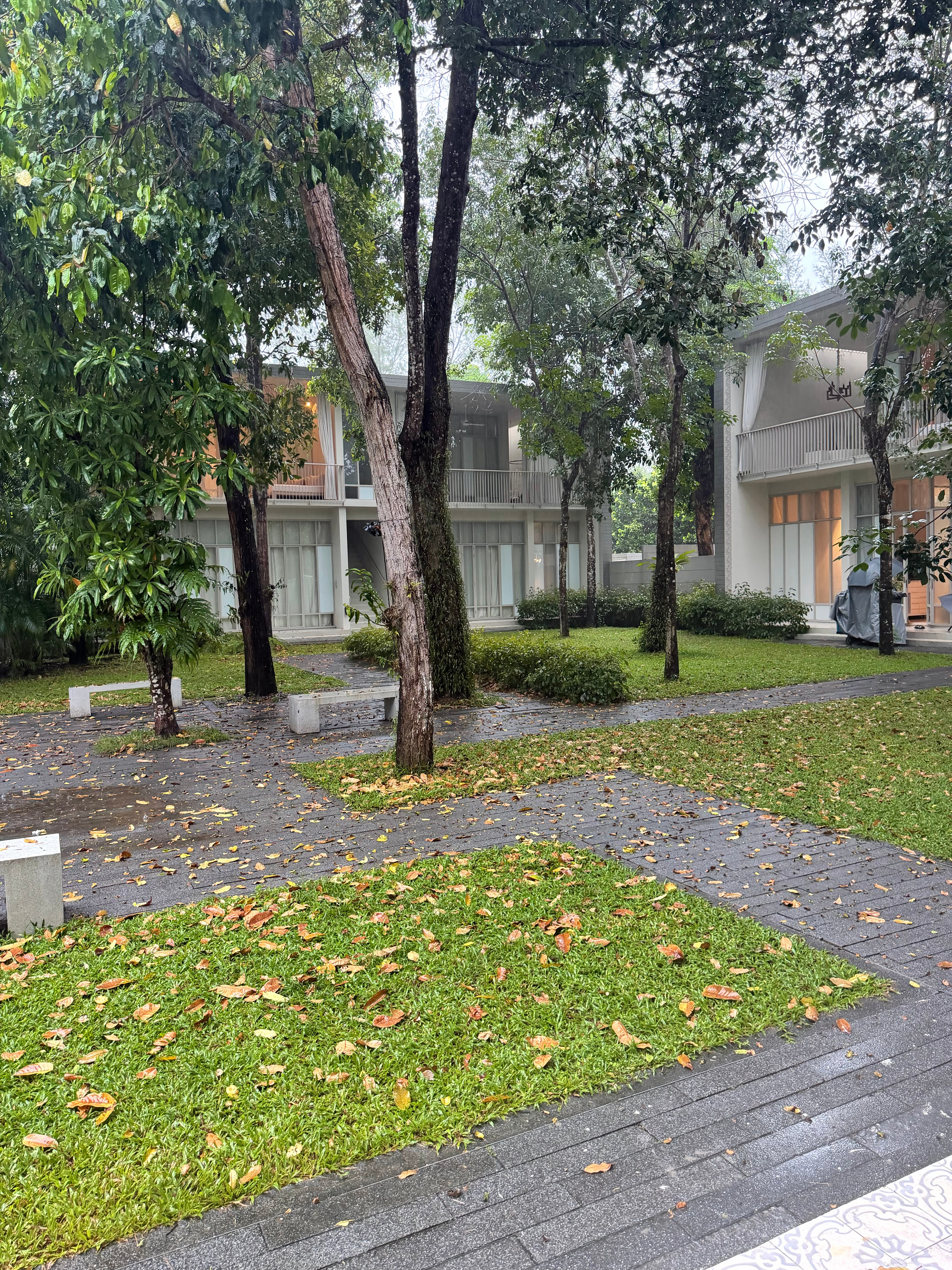来泰国这么多次第一次碰上这么雨的雨季完全没招了感觉自己是雨神来的离开杭州杭