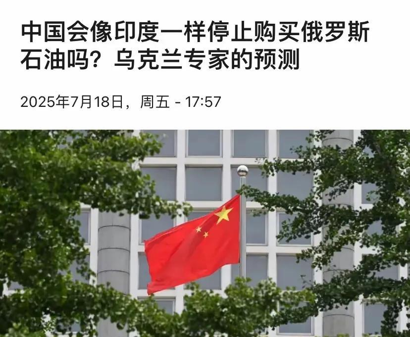 针对美国发出对购买俄罗斯石油的国家实施二级制裁的威胁，乌克兰前外交官泽莫提尼7月