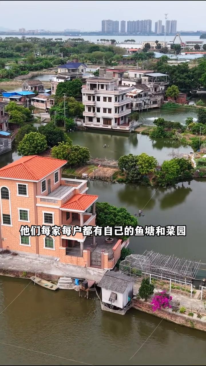 广东水上村庄。这应该是广东最美的水上村庄，整个村庄被鱼塘、河涌包围，小桥流水星