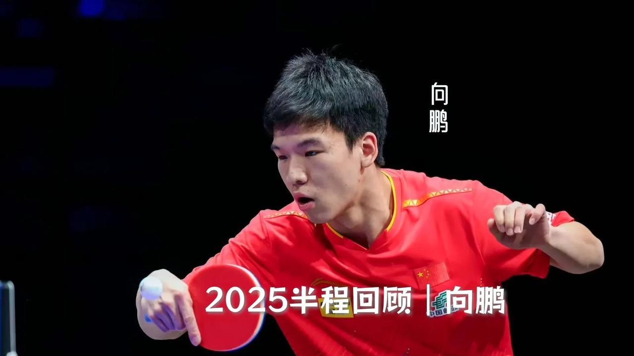 【2025半程回顾之向鹏！仁川冠军赛一战成名！】向鹏没有参加本赛季上半程的三项