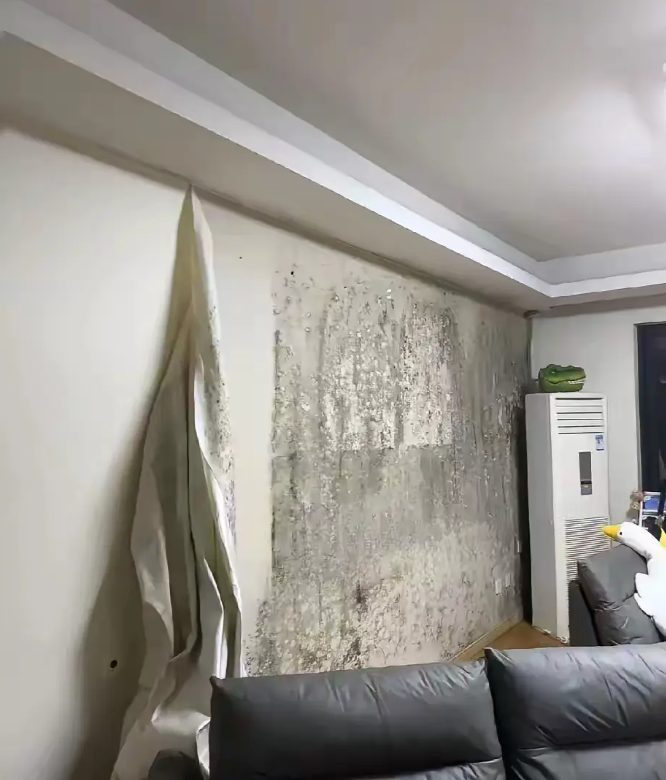 手贱的我把墙布撕下来了现在怎么办啊