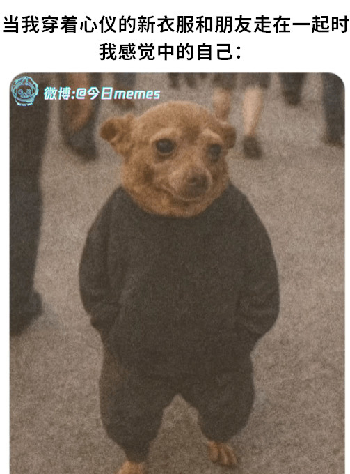 换爬行（9gag）今日meme今日memes​​​