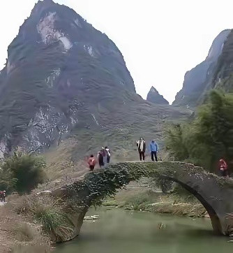 这拍照技术真的不一般[捂脸哭]