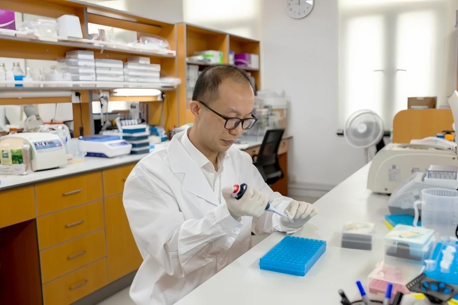 ✨全球首次！中国基因编辑技术让地贫患者告别输血，Nature刊载突破性成果🌍