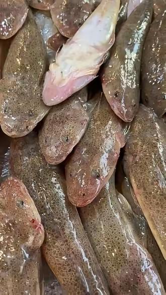 10元3斤。下午4.30下的船，太新鲜了。关键是价格便宜到家啦！大家知道这