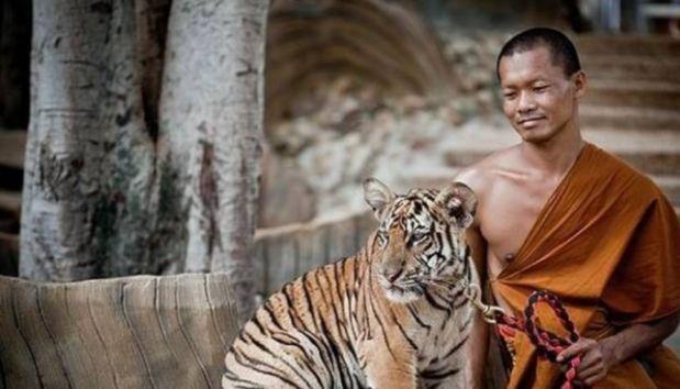 ☁“你小心点，千万别把我惹急了！”2007年，一名泰国男子，深夜在街头拦住