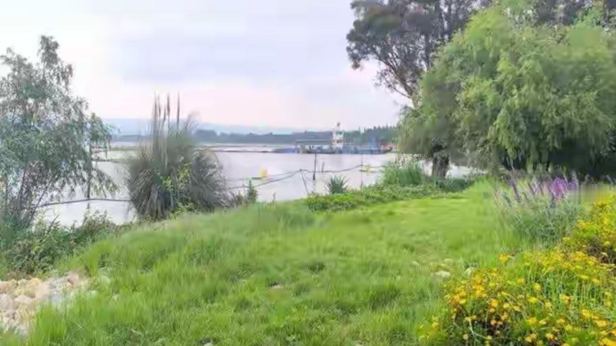 🔥昆明新晋顶流湿地！星海半岛免费逛，地铁5号线福保站直达超方便。水杉林栈道光影