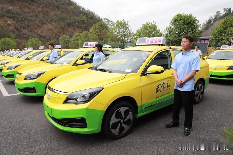 男子打新能源出租车从东北去三亚1月23日报道，沈阳李先生打新能源出租车从东北去