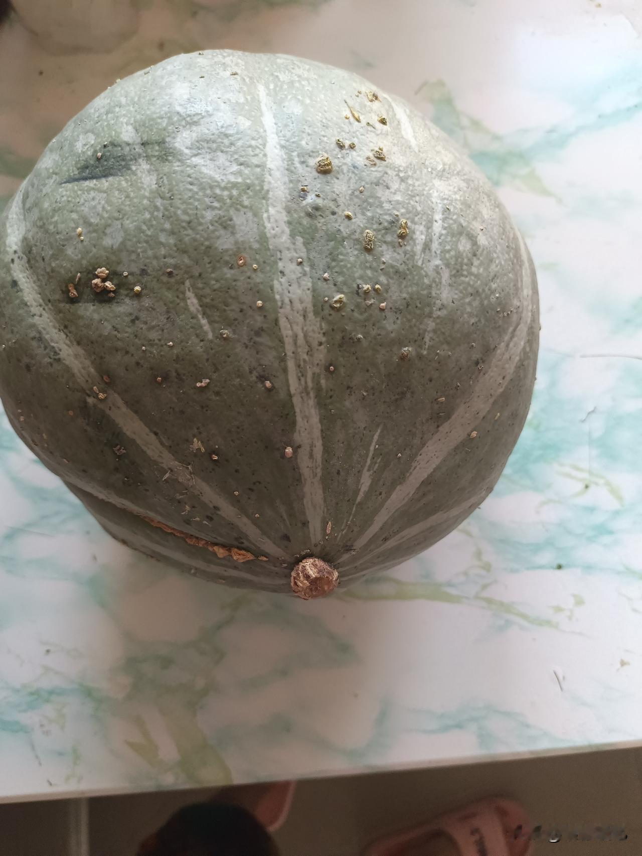 开心，真开心，就是捡！！！捡土豆，捡苞米，捡面瓜，捡白菜，捡辣椒🌶️，捡黄豆，