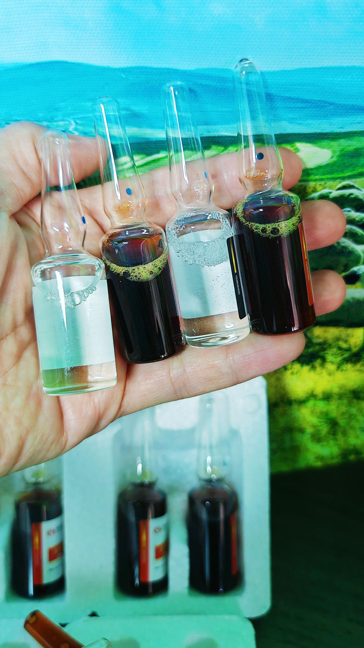 养羊牛羊养殖农村养羊