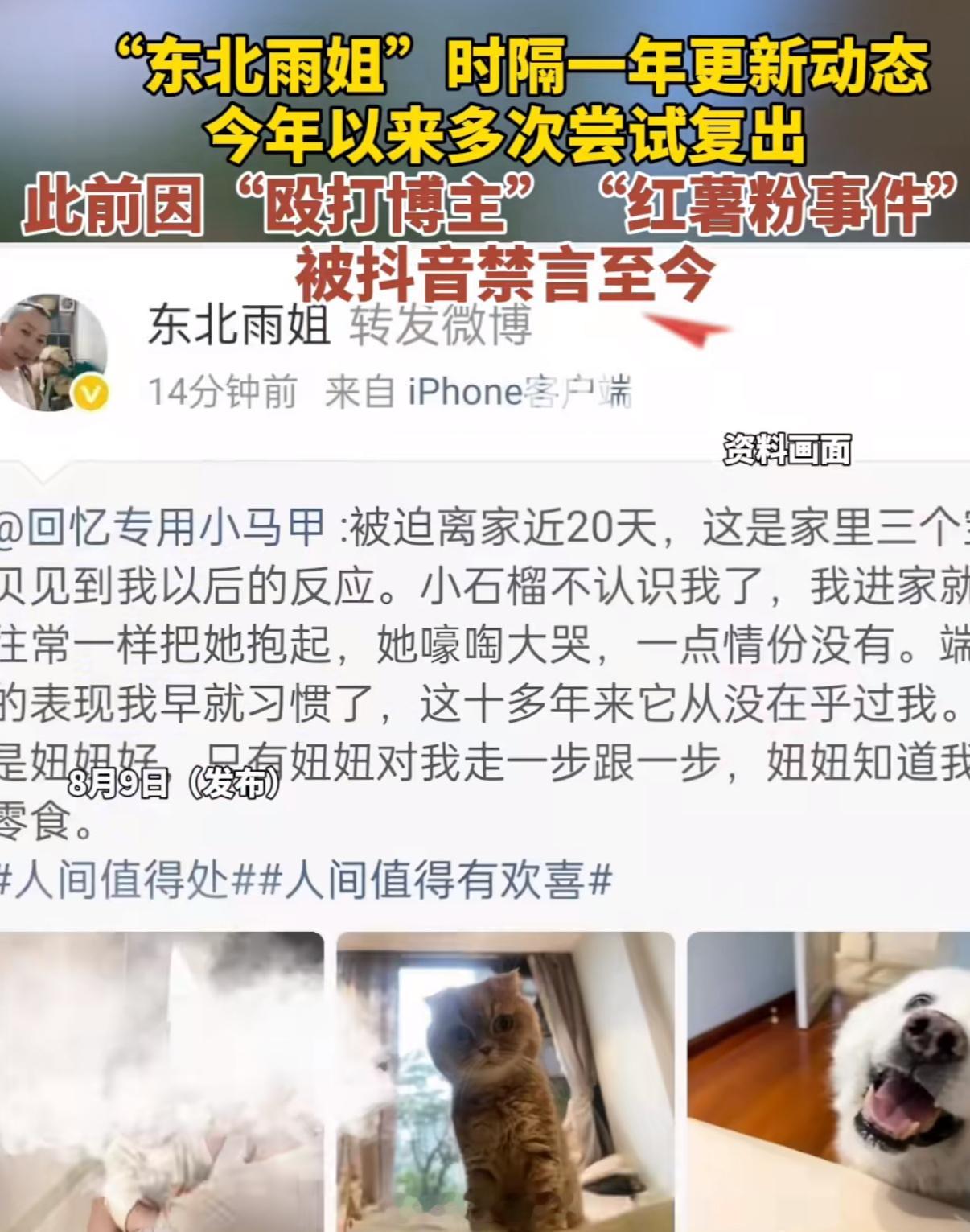 “雨啊，拎俩鳄鱼回来干啥”“啊，没事，这我买的茹贾”东北雨姐发博​​​
