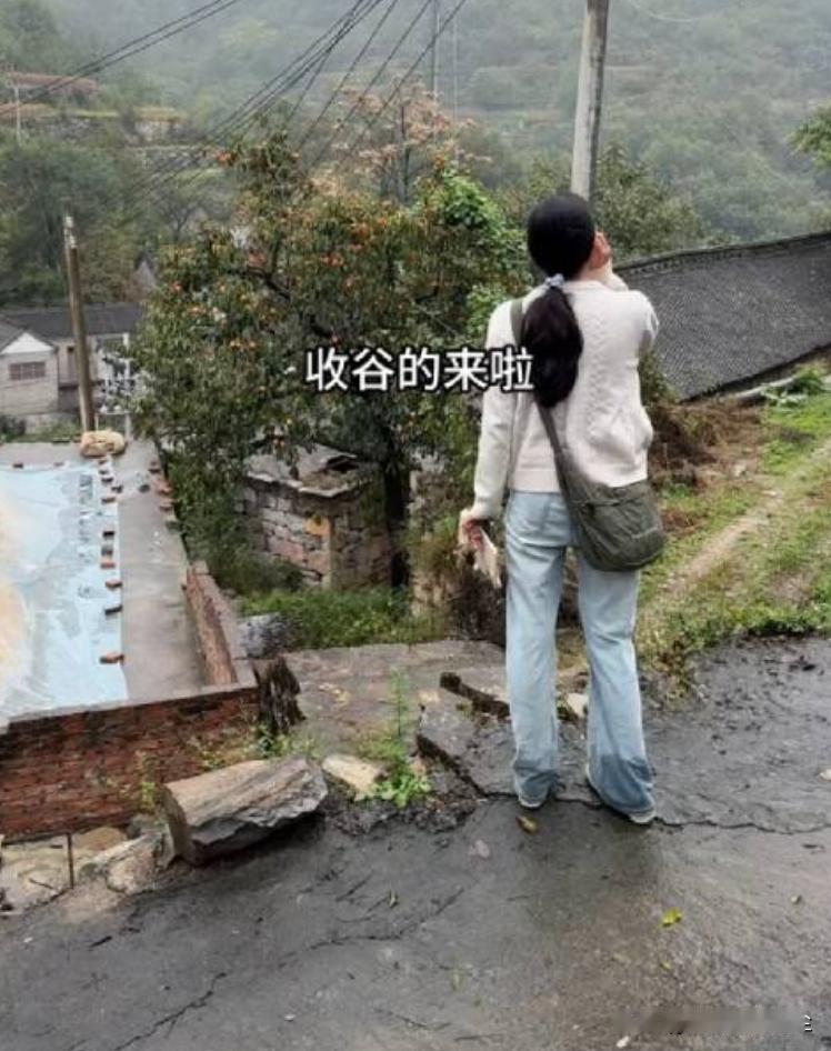 千万网红李福贵山区收粮收出争议带壳谷子4.8元/斤被质疑扰乱市场李富贵:没压