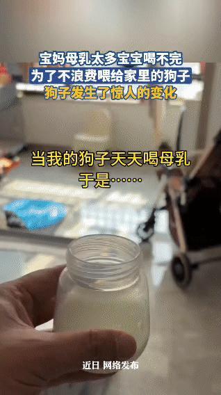 哈哈，刷到这种视频真的能笑到打鸣！本来以为是“母爱泛滥造福全家”，结果是“狗子反