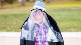 艾蒿怎么读_艾蒿过敏怎么办