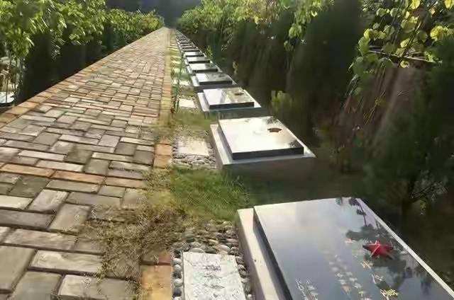 1986年清明，河南73岁的刘法玉在儿子搀扶下，千里迢迢赶到江西兴国烈士陵园，祭