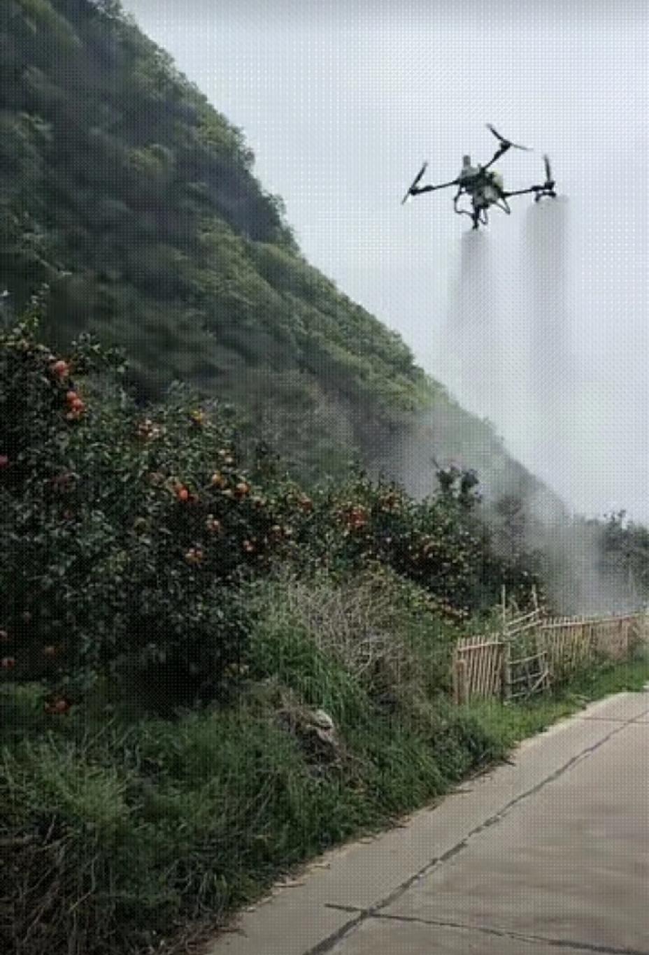 那些好心人，无偿的帮果农喷洒农药，却不敢露脸，还喜欢偷偷摸摸的，这是好人做好事不