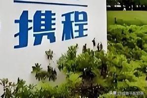 携程不得不查，而且必须查！翻开它的股东榜就懂了，除了百度占6.67%，剩下的