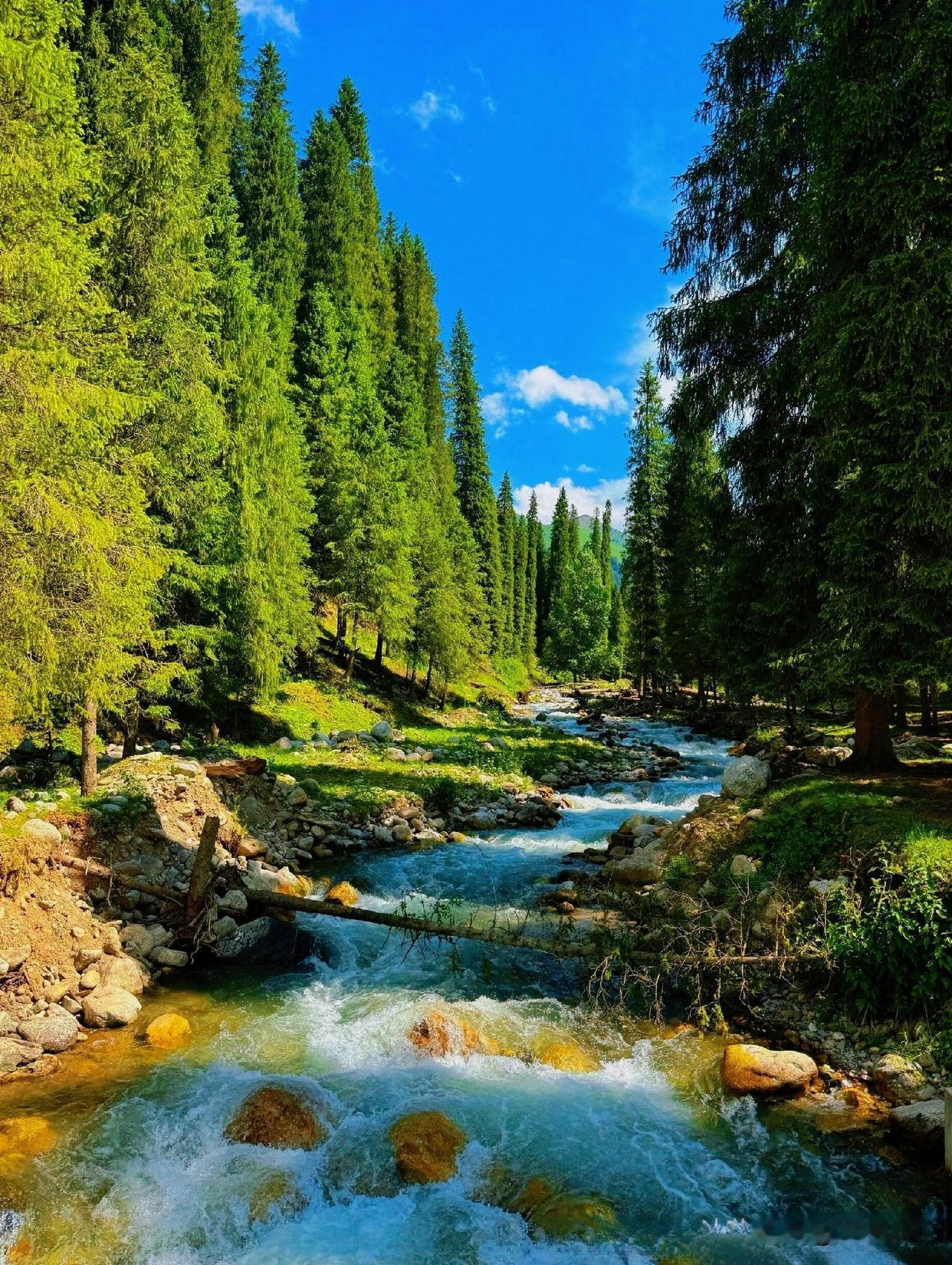 草原仙境库尔德宁，比瑞士美了不知多少倍！提起风景，曾经一度许多人言必称瑞士，口