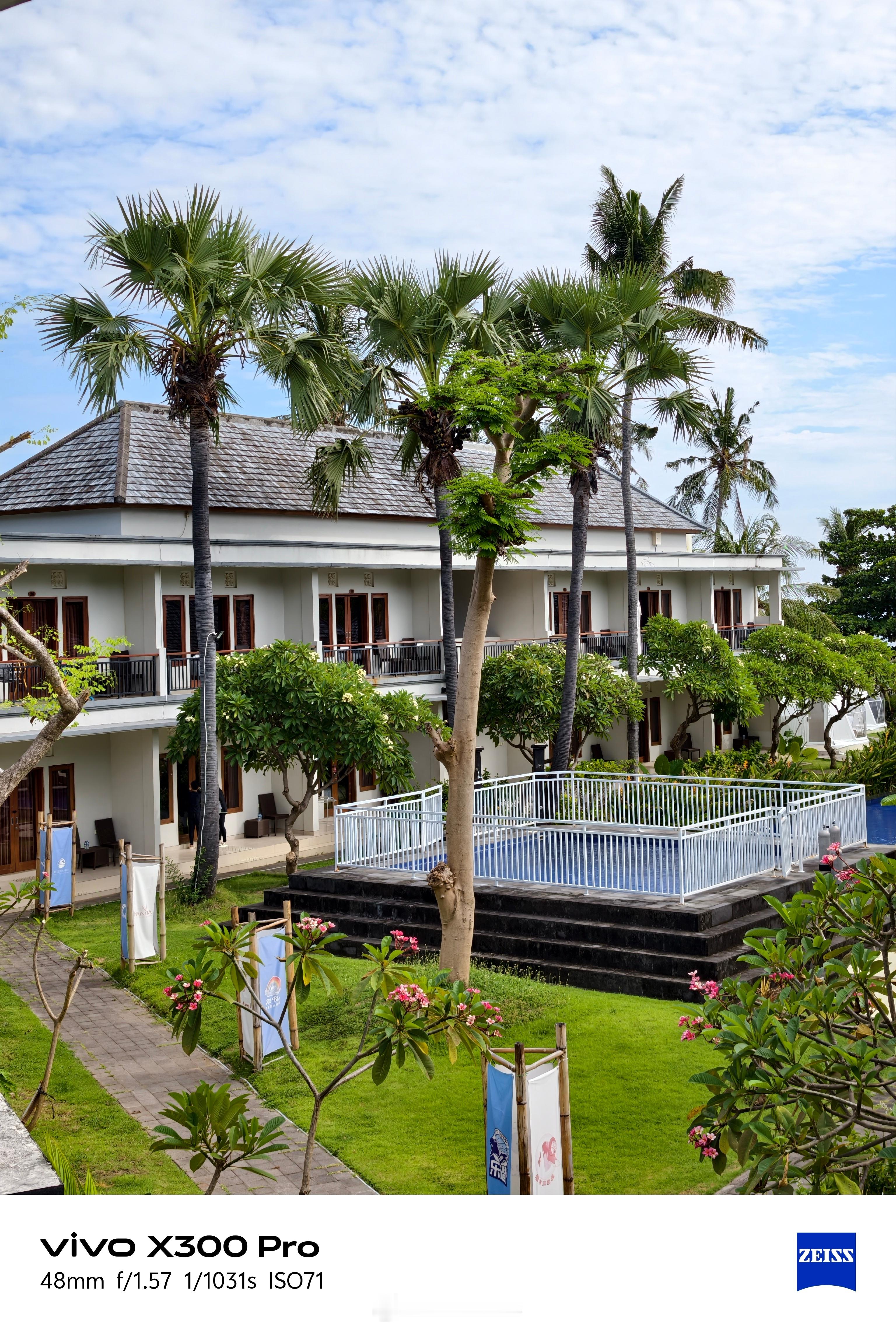 早呀这两天用vivoX300Pro拍了点随手拍[大笑]​​​