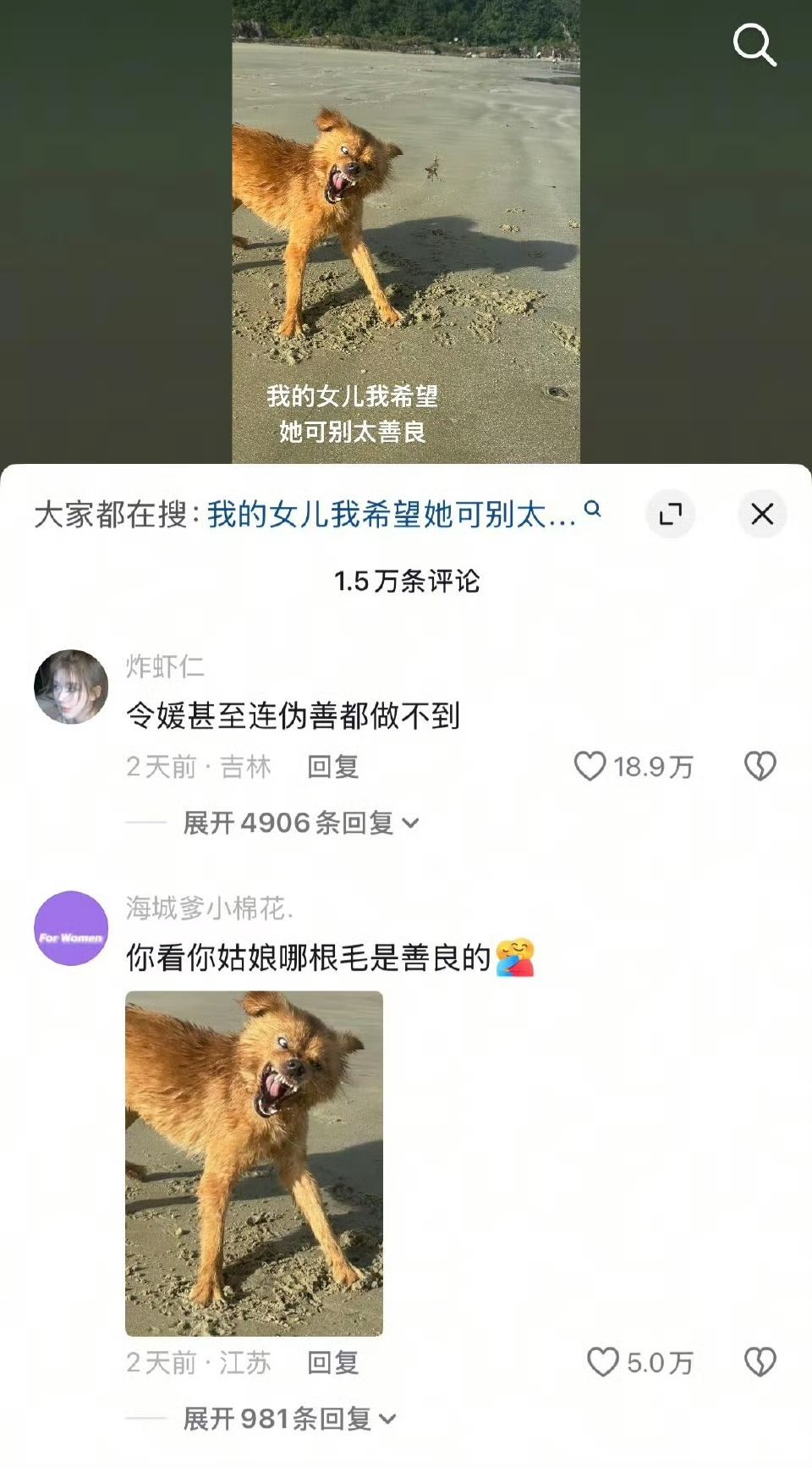 你看你姑娘哪根毛是善良的