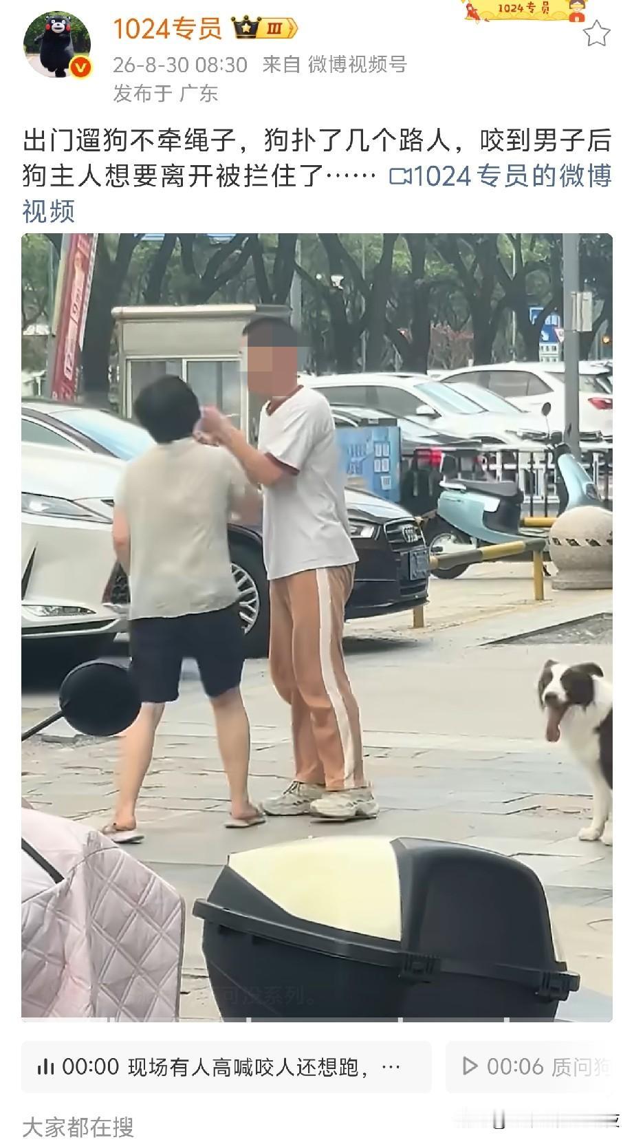 中国就是这种不负责任的养狗人太多了！