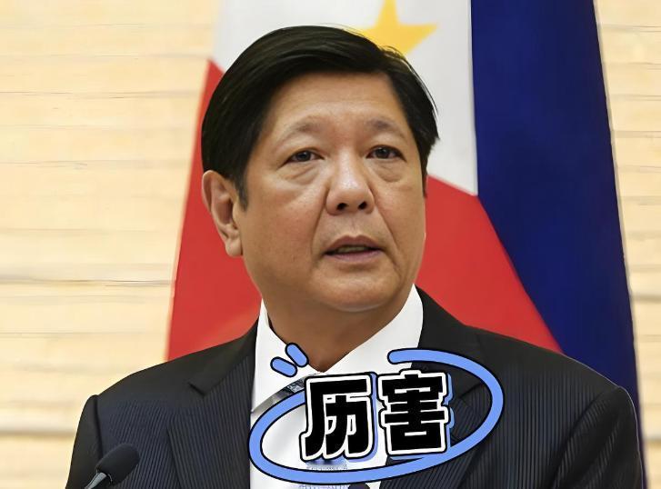 菲律宾最高法院这次终于干了件人事儿！2025年12月6日，菲律宾最