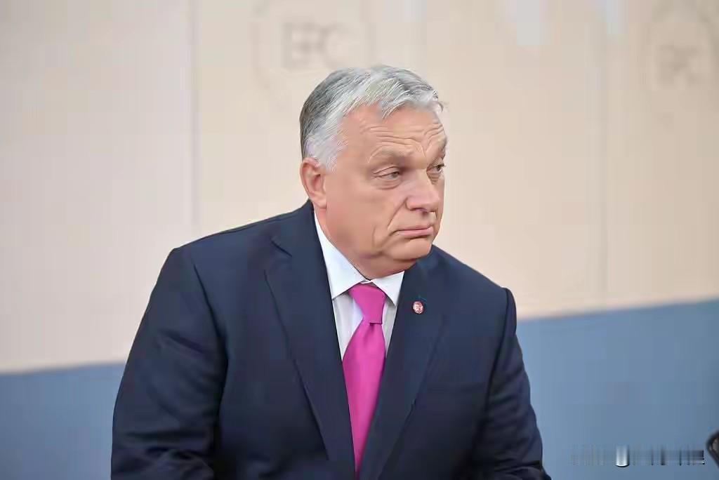 匈牙利就是敢打欧盟的“脸”！欧盟“下令”，所有欧盟成员国不得购买俄罗斯的石油