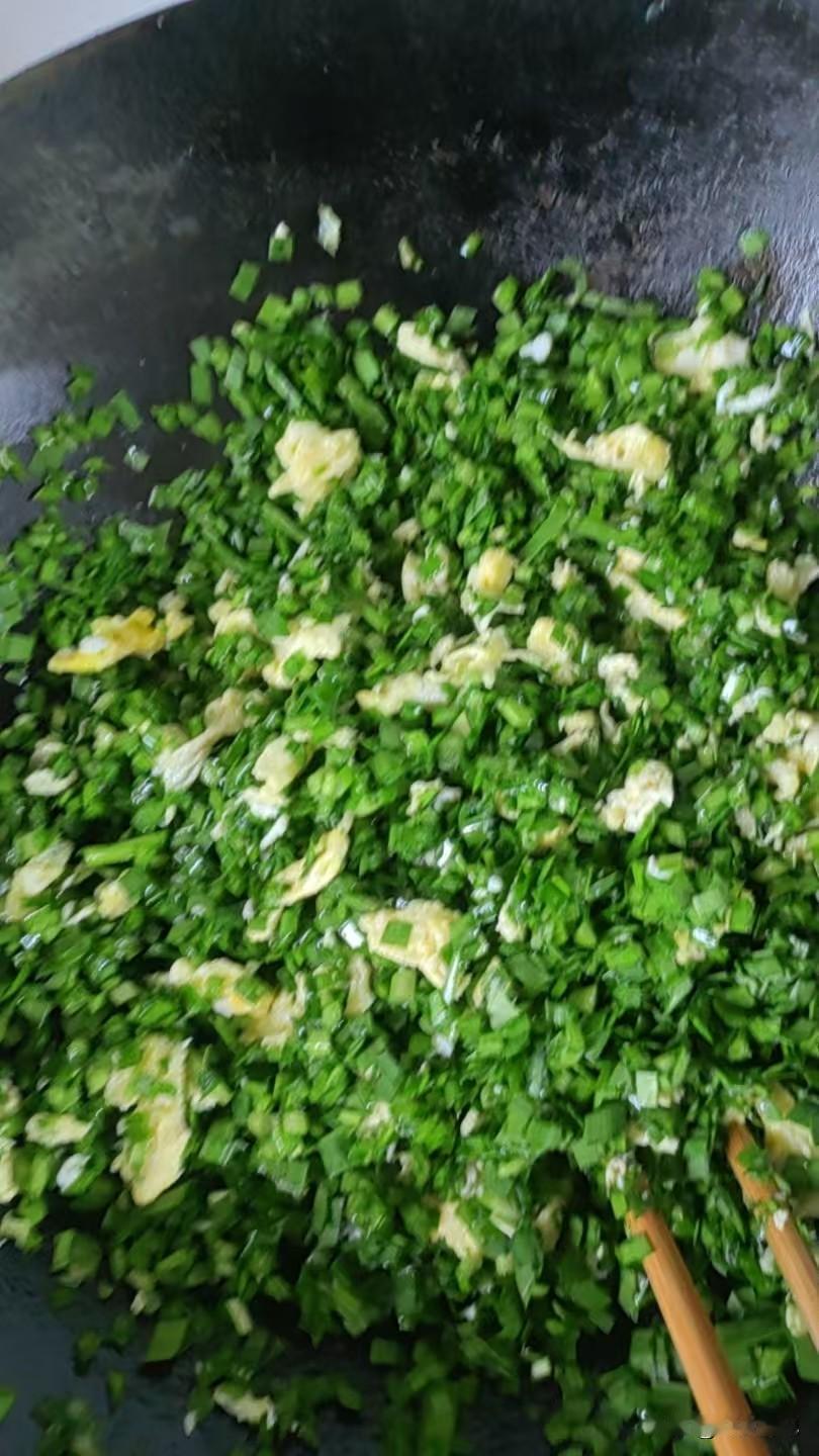 春日生活打卡季婆婆妈种的韭菜茴香，绿油油鲜嫩嫩的，我割了一点，闺蜜周日不上班，她