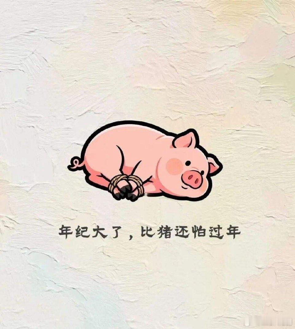 年龄大了，比猪都害怕过年，猪就怕一年，你是怕了一年又一年