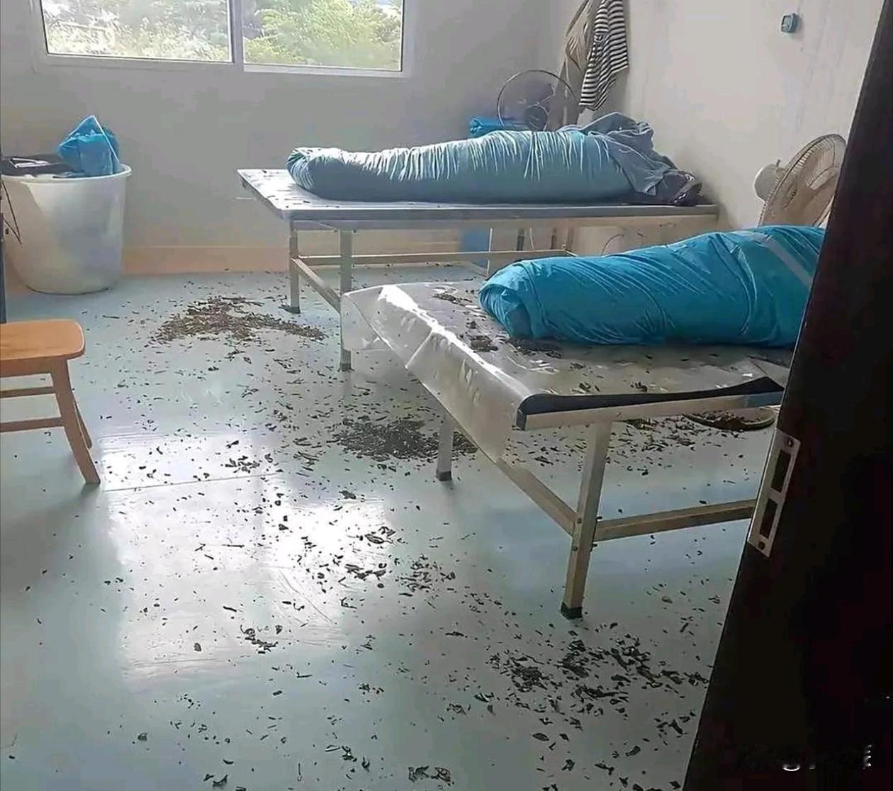 经历过这档子事，以后估计啥都不怕了