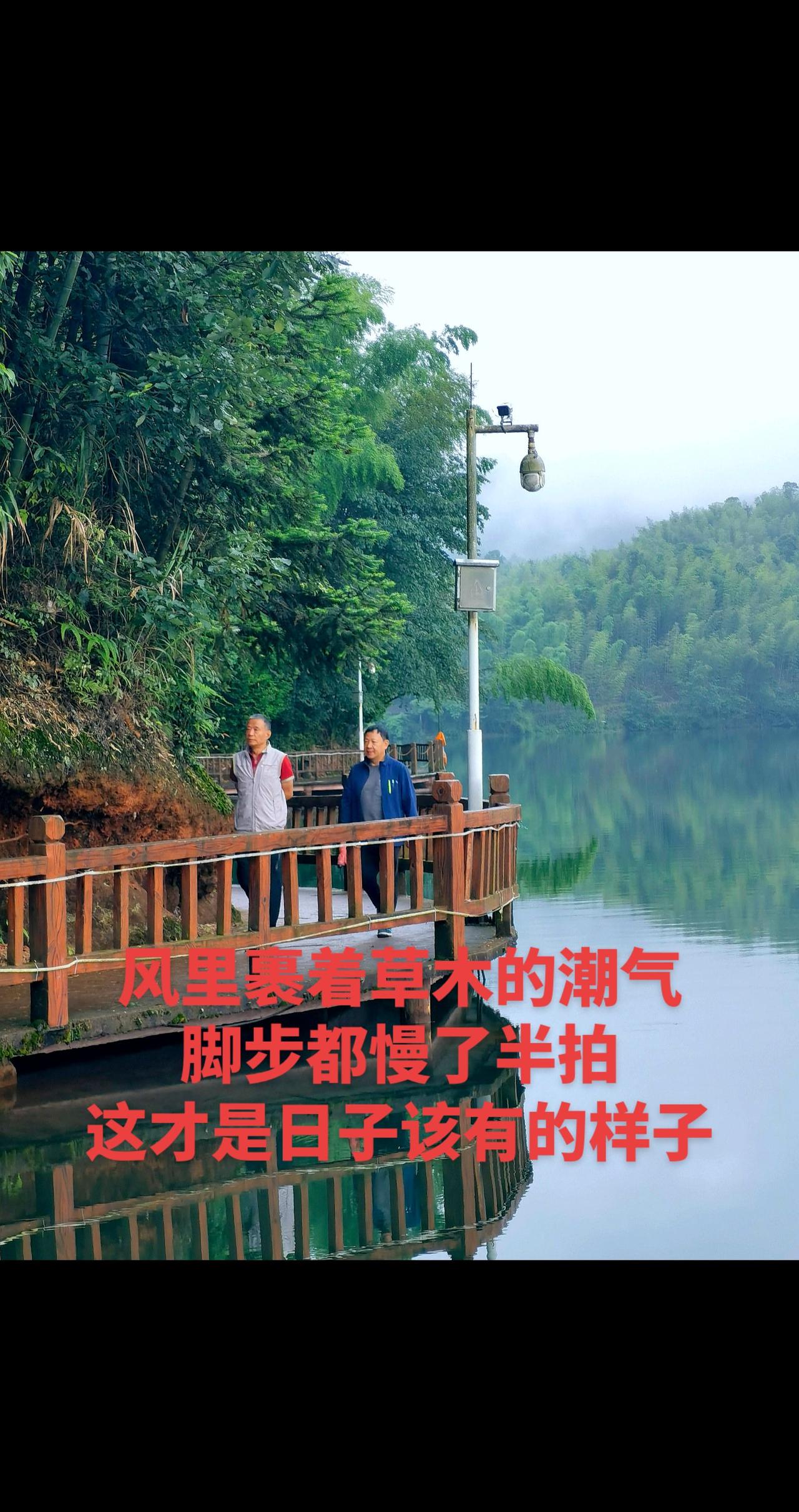 漫步天岛湖湖栈道。手机摄像纪实摄影原创视频AI湖岸栈道，山青水静