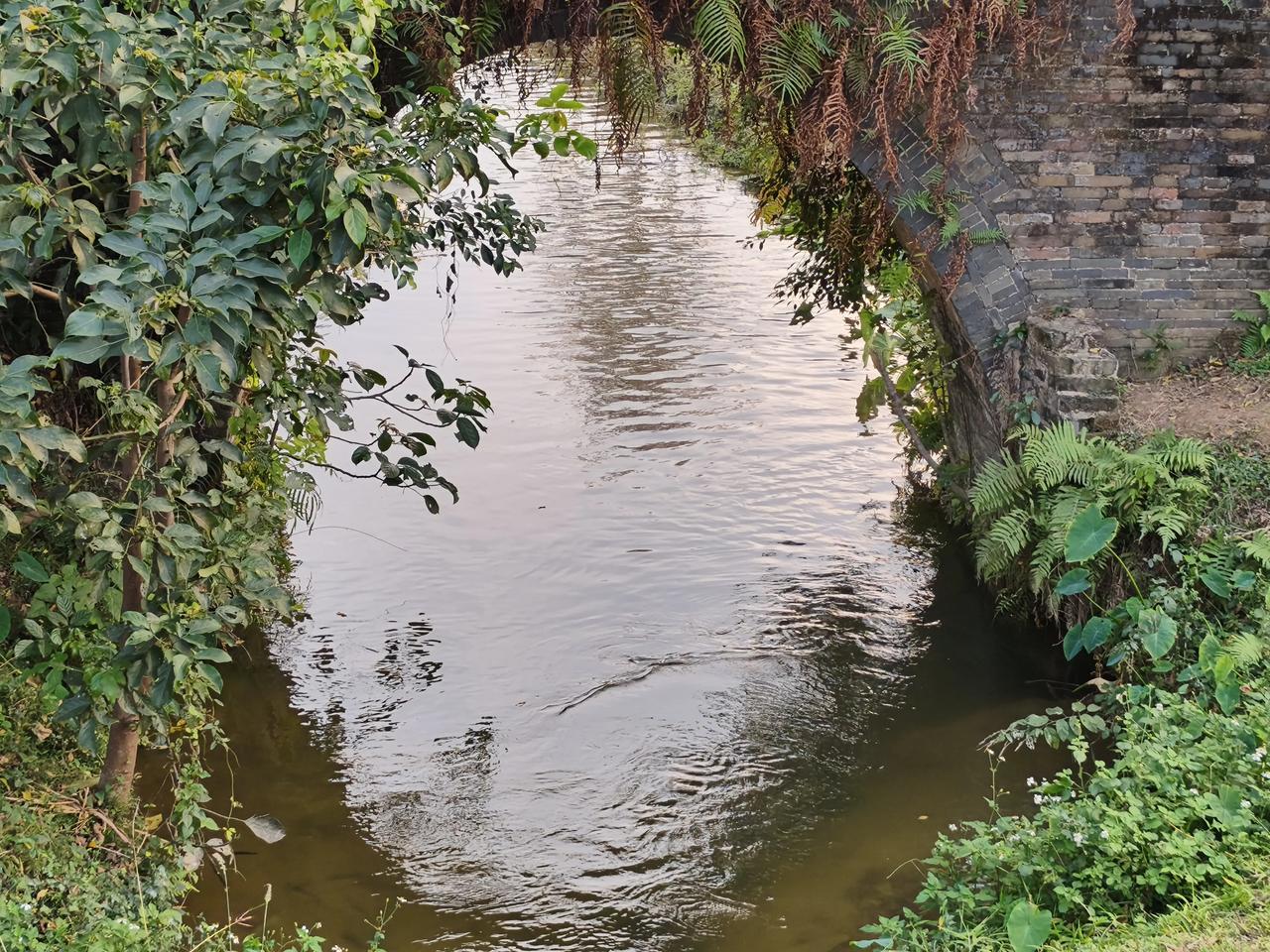 分享手机里随手拍的风景照片记录生活中的美。