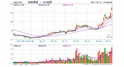 陕西黑猫连年被曝污染事件 凸显环保"短板"