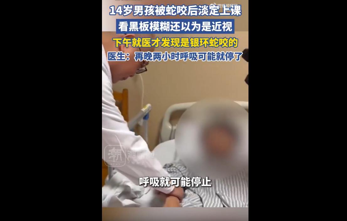 5月8日，广州一名14岁学生在校园草丛捡东西时，被剧毒银环蛇咬伤手臂。因伤口仅