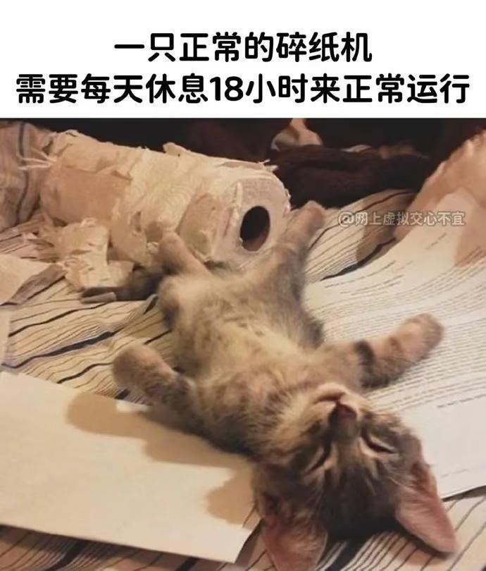 有趣的事情奇妙的发现生活中的巧合梗图